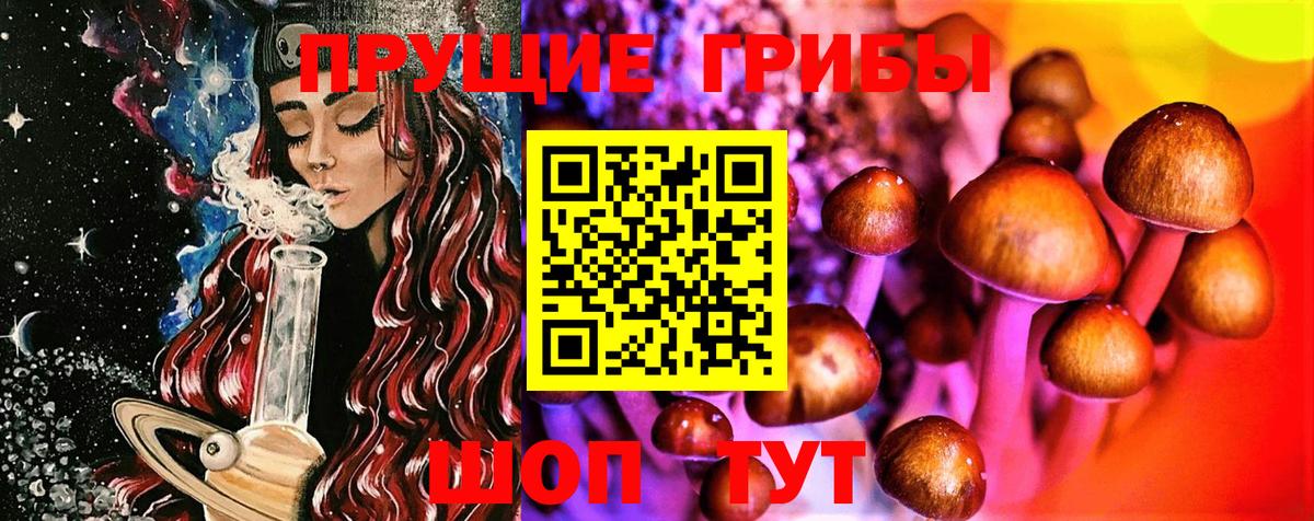 Псилоцибиновые грибы Psilocybe Дзержинск