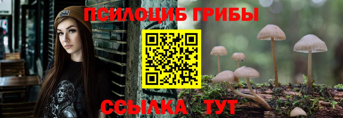 Дзержинск  Псилоцибиновые грибы Psilocybe  Вход с VPN 